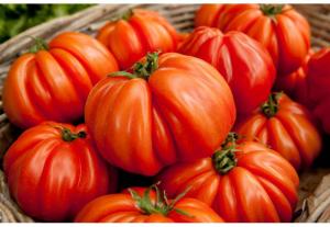 tomates coeur de boeuf du pays catI 3.25€ le kilo