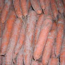 carotte de sable non lavées 1.45€ le kilo