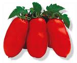 tomate san marzano 4.25 le kilo