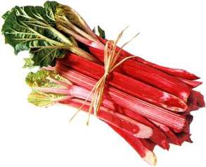 rhubarbe du pays 1.75 le kilo